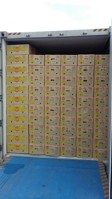 Shengyuan -Indonesia