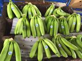 Dlight bananas-Philippines