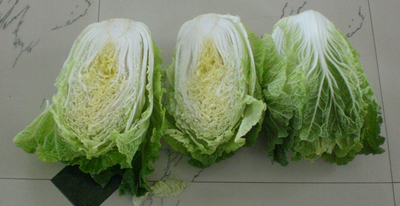 Chinese Cabbage