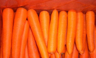 carrot