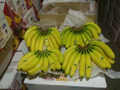 Liberty bananas-Philippines